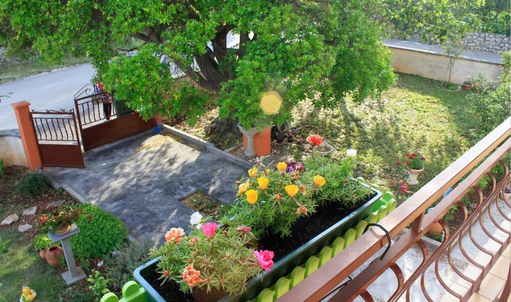 Apartmani Volga Petrcane Exteriér fotografie