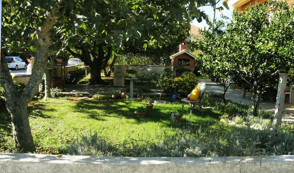 Apartmani Volga Petrcane Exteriér fotografie